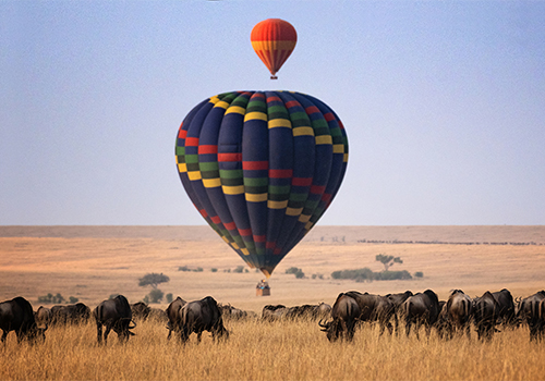 amboseli-and-maasai-mara-plus-balloon-safari-ride-for-7-days