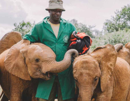 15 Days, 14 Nights Best Seniors Safari