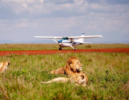 2 Day Masai Mara Flight Safari from Nairobi Masai Mara By Air Safari